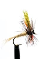 American March Brown #14