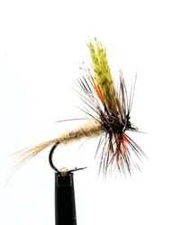 American March Brown #14