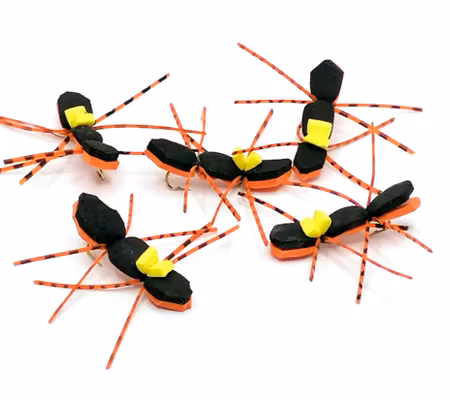 Tjernobyl Ant