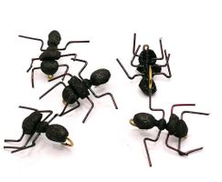 Foam Ant #14