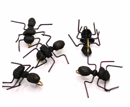 Foam Ant #14