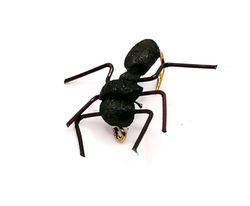 Foam Ant #14