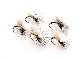 Parachute Midge
