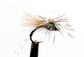 Parachute Midge