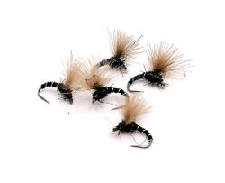 Midge Emerger #16