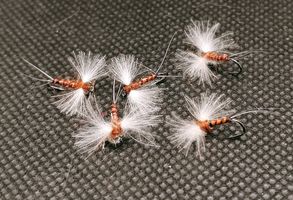Cdc Biot Rusty Spinner #16