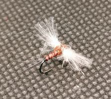 Cdc Biot Rusty Spinner #16