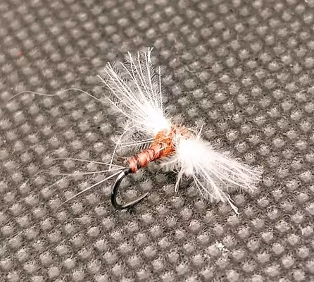 Cdc Biot Rusty Spinner #16