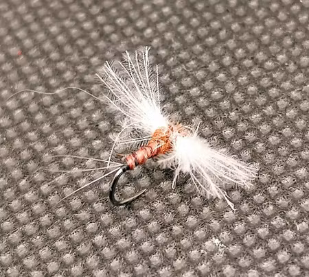 Cdc Biot Rusty Spinner #16