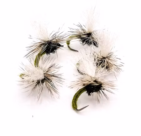 Klinkhammer Olive