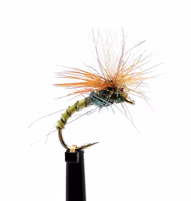 Klinkhammer Biot Olive #14