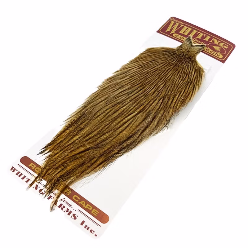 Whiting Coq De Leon Golden Badger