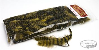 Whiting Schlappen 6 plus