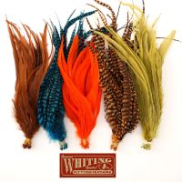 Whiting Schlappen 6 plus
