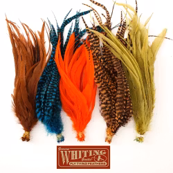 Whiting Schlappen 6 plus