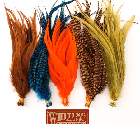 Whiting Schlappen 6 plus