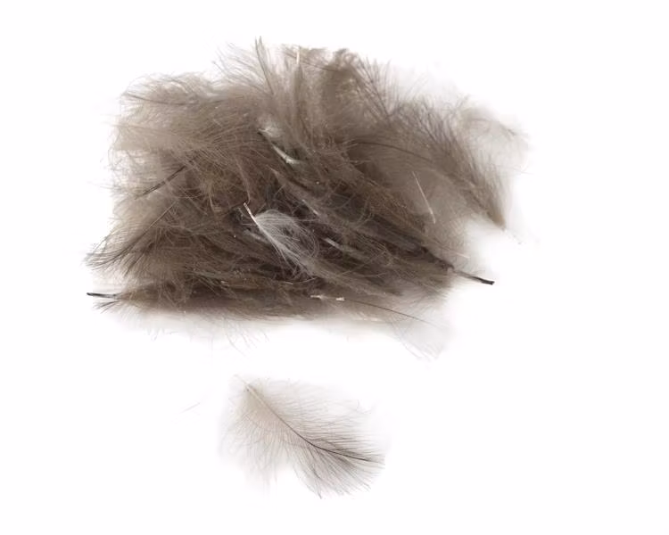 Flydressing Premium CDC