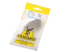 Mallard Duck Drakegrey Flank Medium Veniard