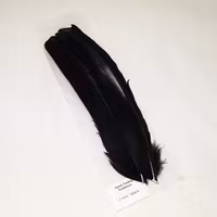 Turkey Feathers Dyed Troutline