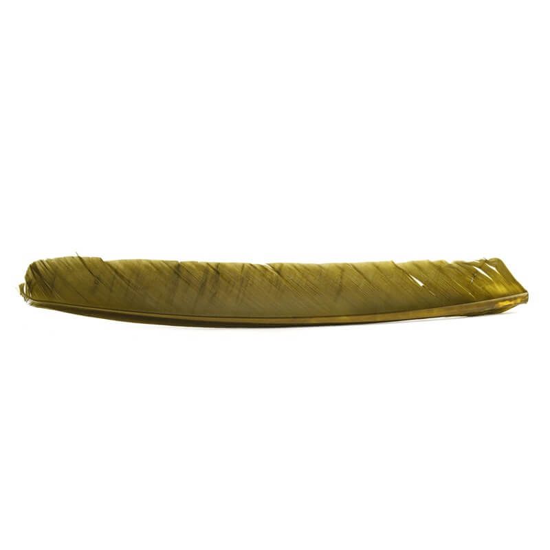 Turkey Biot Quills - Hareline