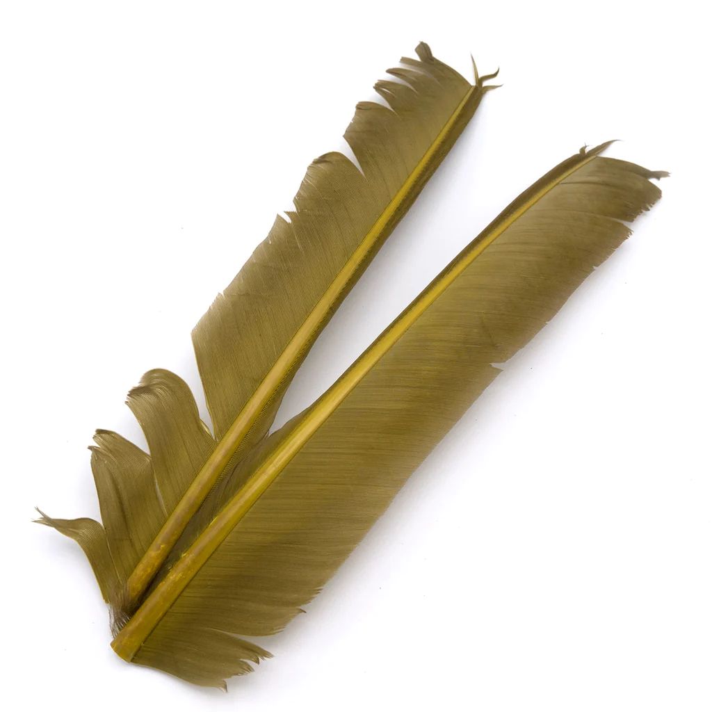 Turkey Biot Quills - Hareline