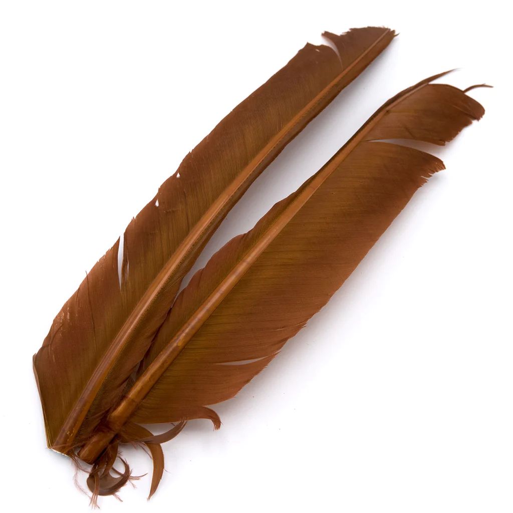 Turkey Biot Quills - Hareline