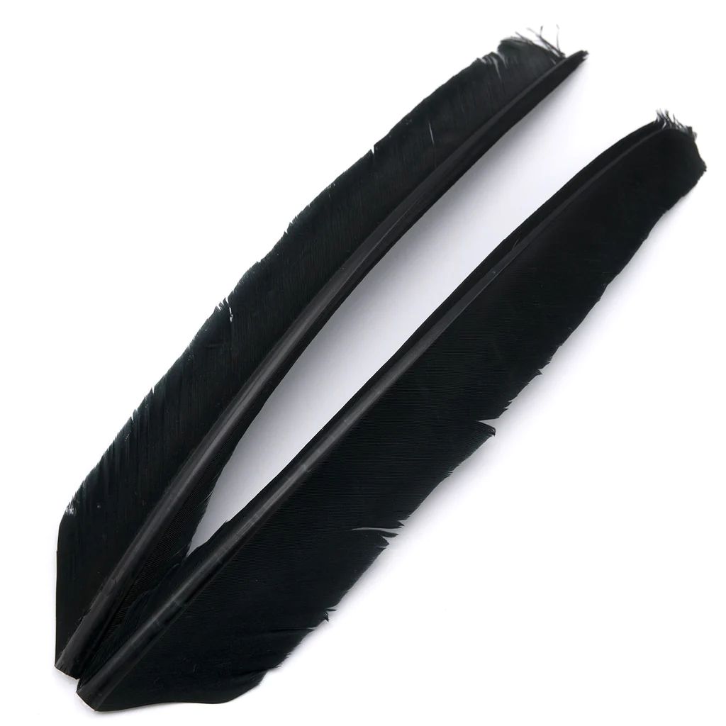 Turkey Biot Quills - Hareline