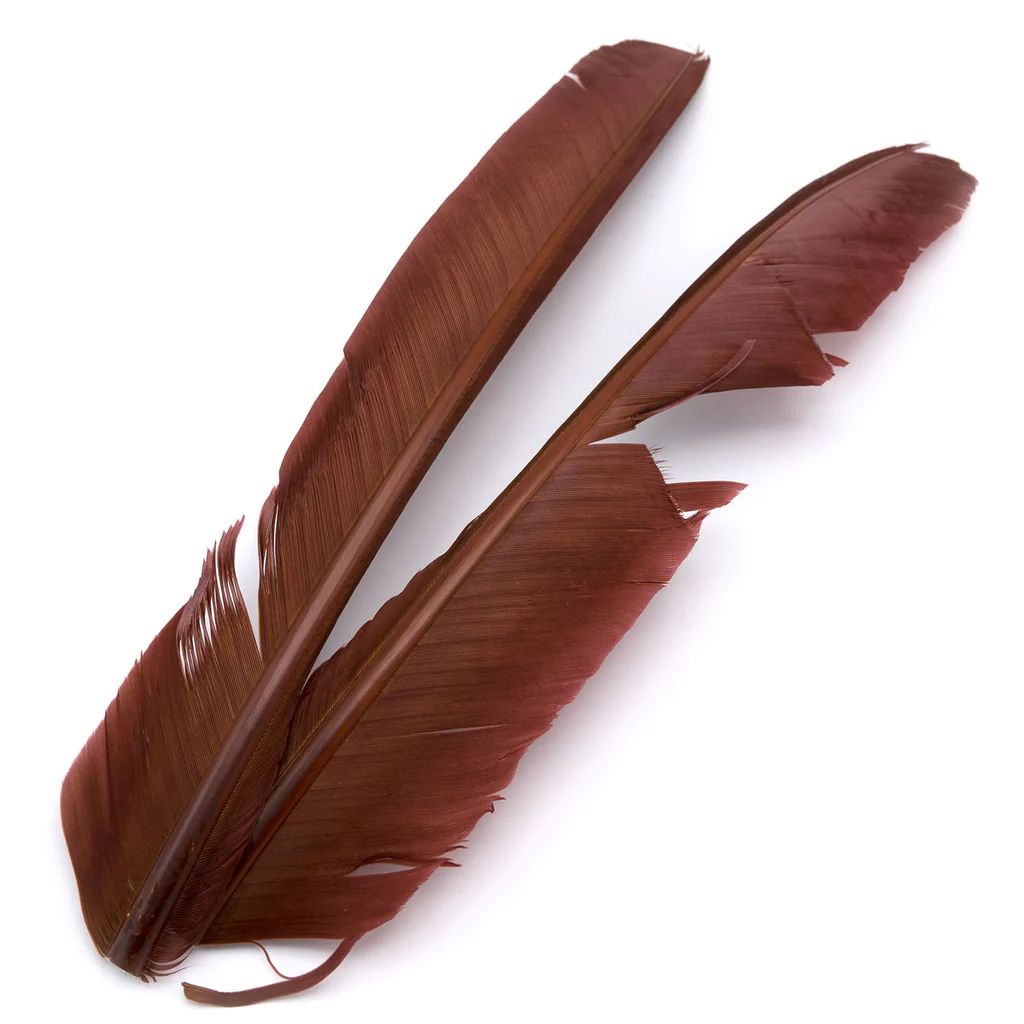 Turkey Biot Quills - Hareline