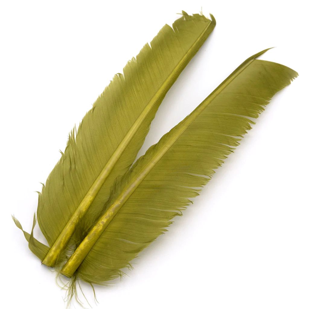 Turkey Biot Quills - Hareline