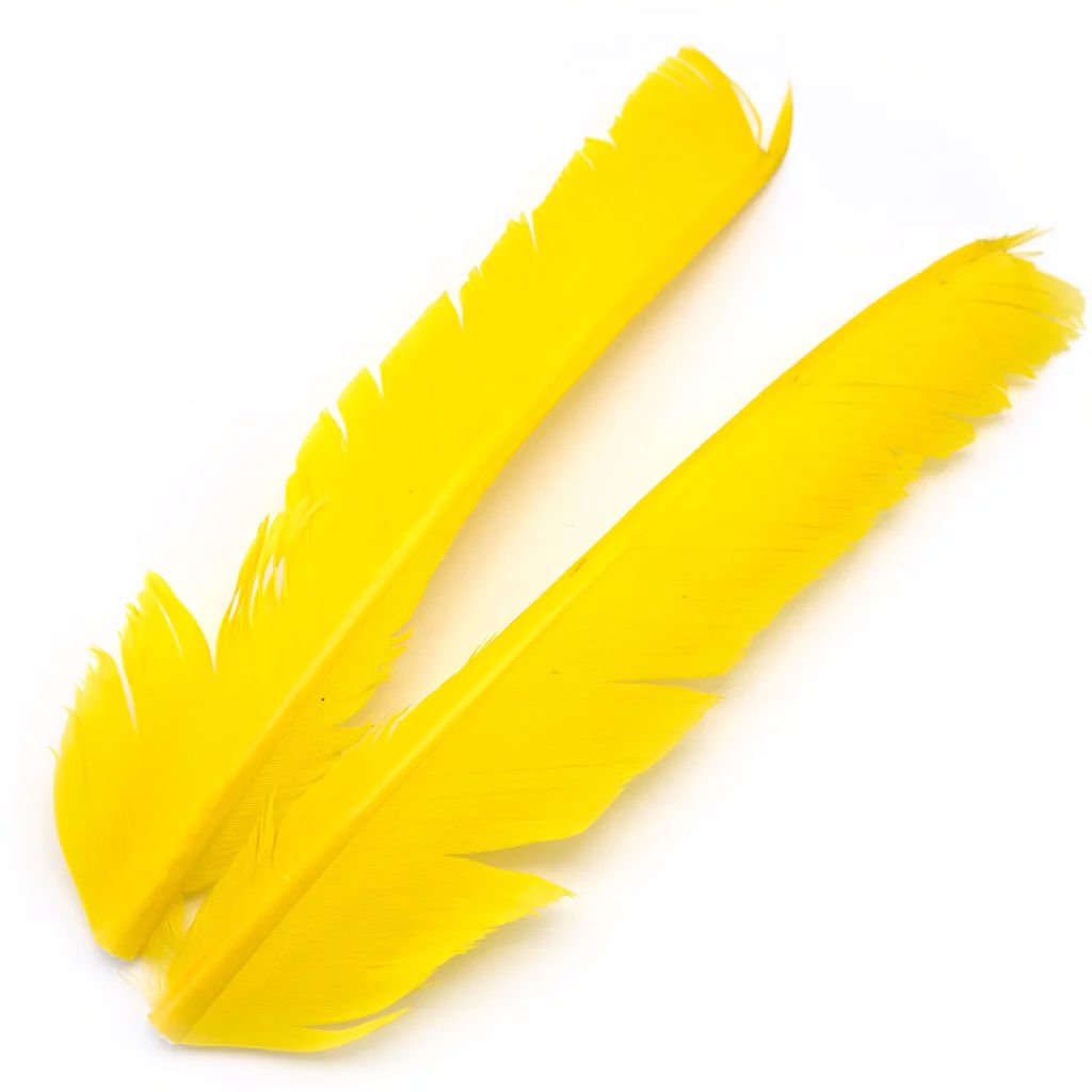 Turkey Biot Quills - Hareline