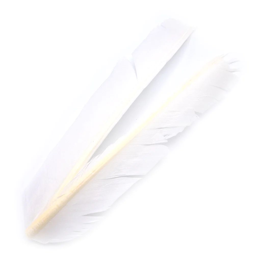 Turkey Biot Quills - Hareline