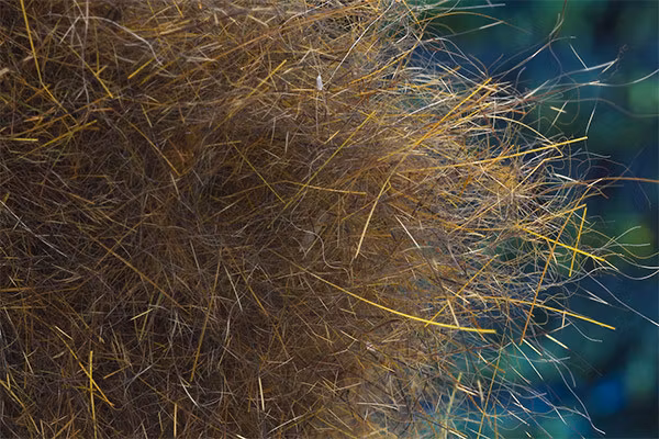 Troutline Squirrel Hybrid Dubbing