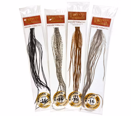 Whiting 100 Pk Size 16