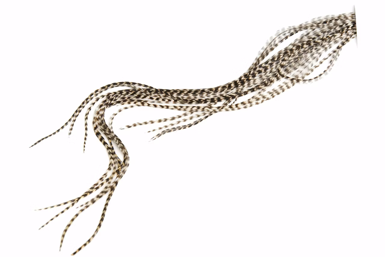 WHITING 100 PK SIZE 12