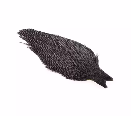 Ewing #1 Grizzly Cape Dark Blue Dun