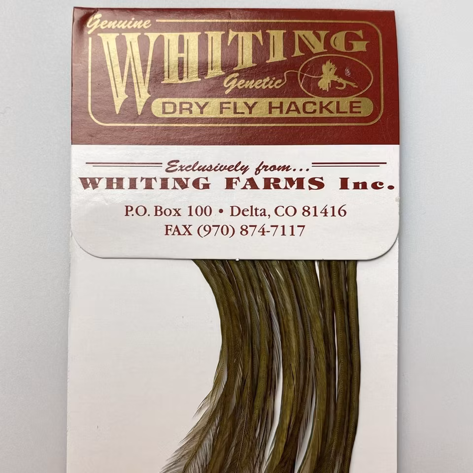 WHITING 100 PK SIZE 12
