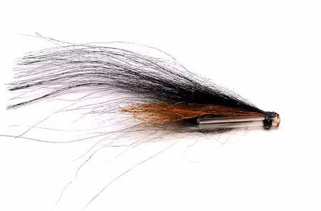Sunray Brown