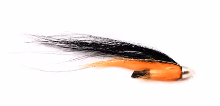 Black&Orange Conehead