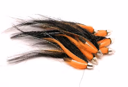 Black&Orange Conehead