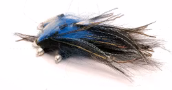 Bluefish Conehead