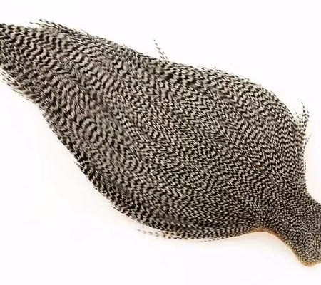 Ewing #1 Grizzly Cape