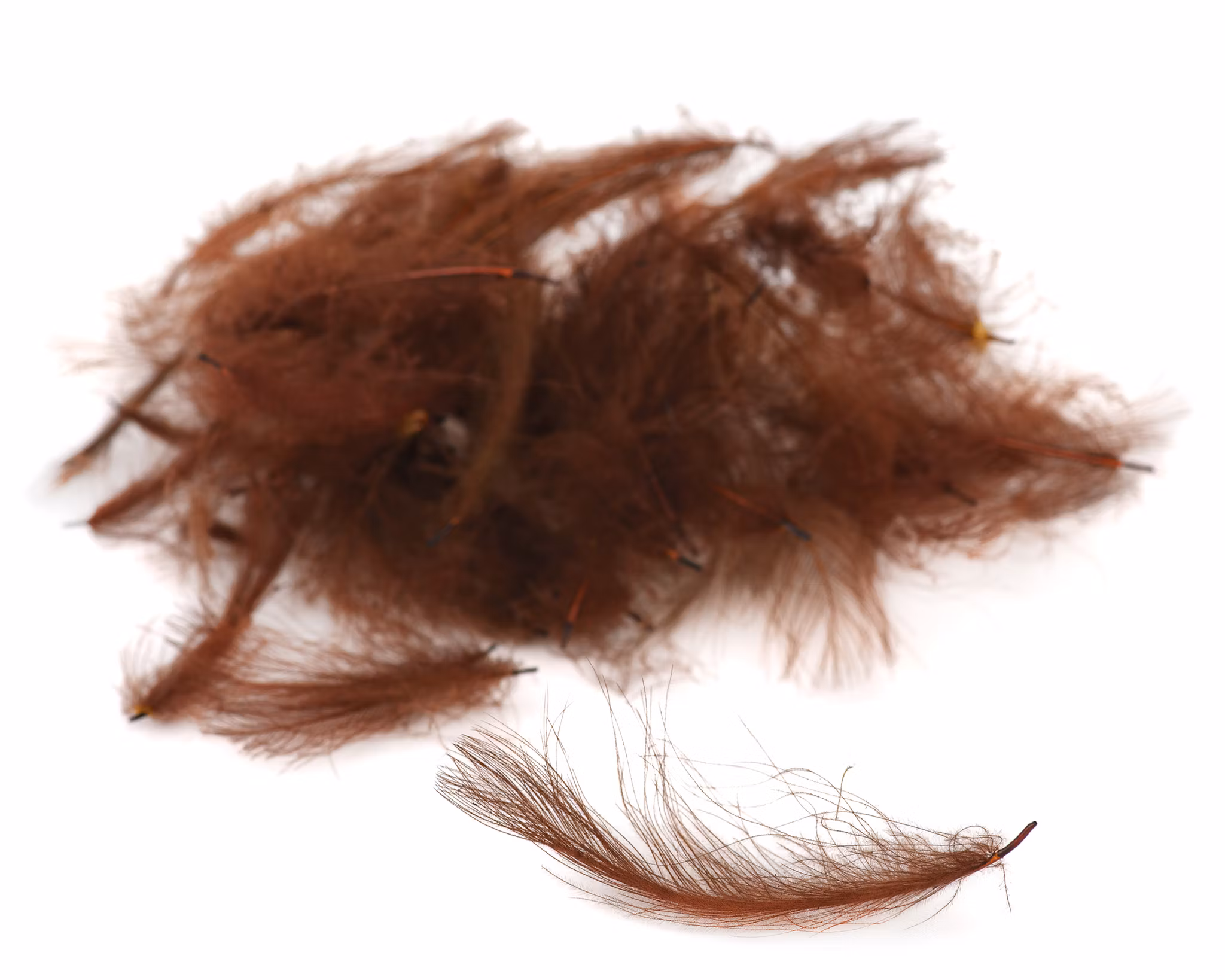 Flydressing Premium CDC