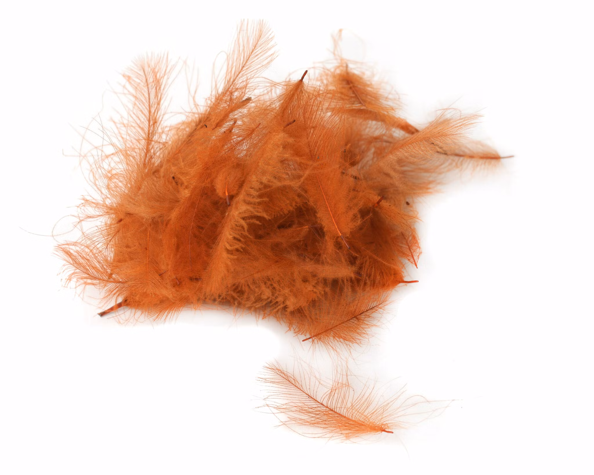 Flydressing Premium CDC