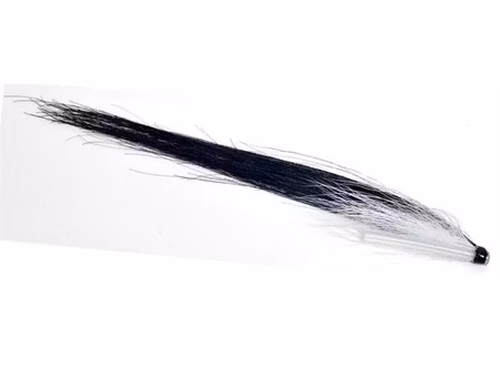 Sunray White under Wing