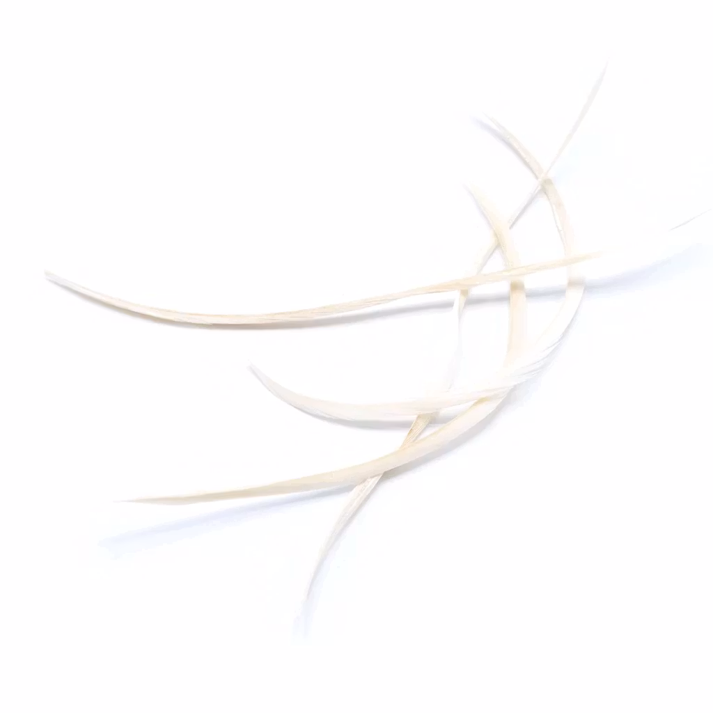 Goose Biots