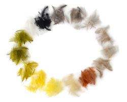 Flydressing Premium CDC