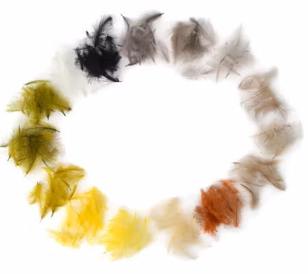 Flydressing Premium CDC
