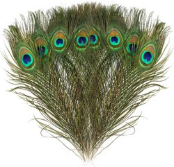 Påfågel Ögonfjäder