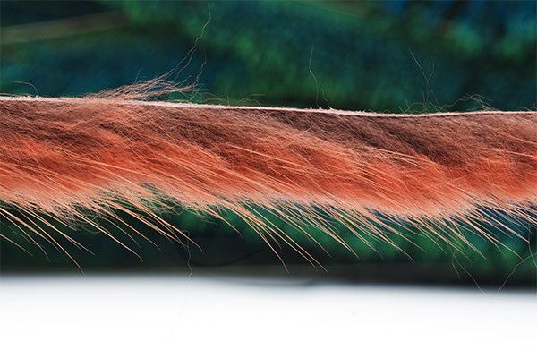 Troutline Muskrat zonkers -strips of 3mm