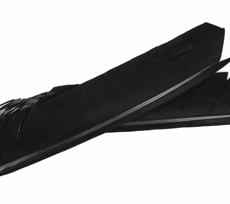 Turkey Biot Quills Nature´s Spirit